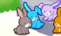 Bunny Decoration