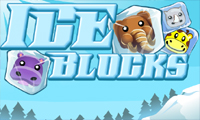 Ice Block