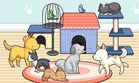 Pet Daycare Decoration