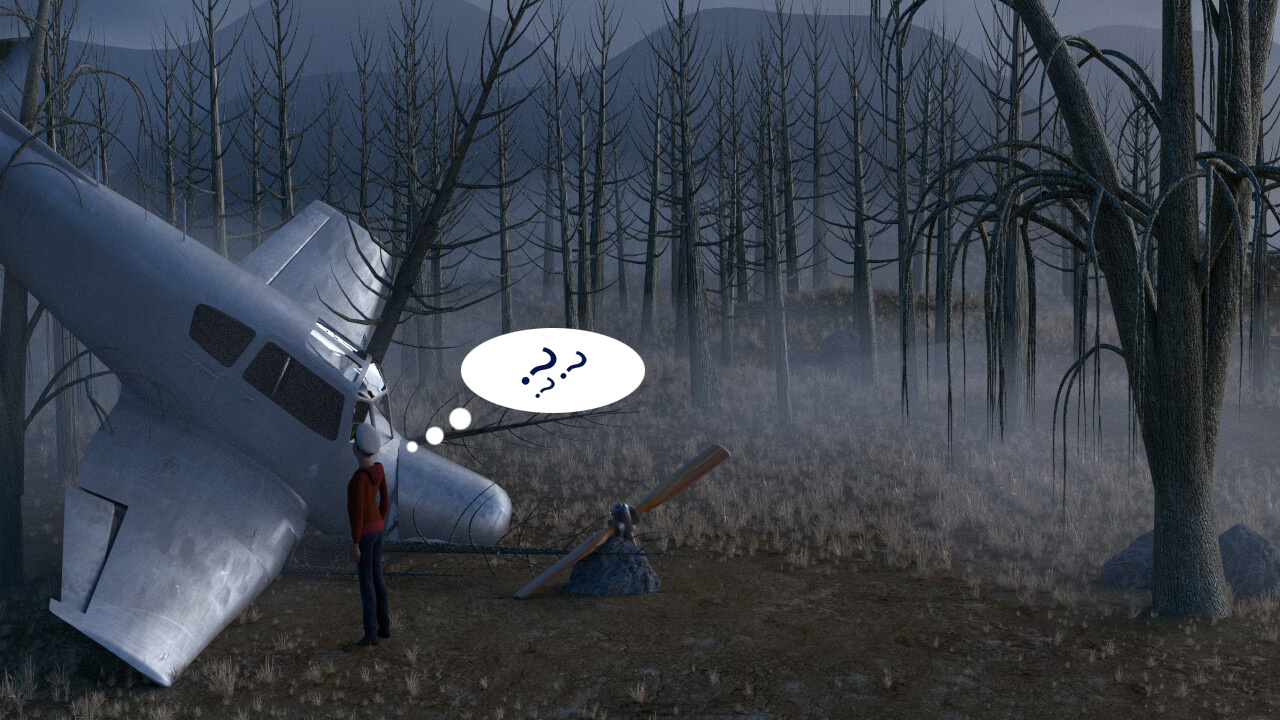 Image Lost in the Forest