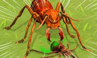 Ants Empire Evolve Sim screenshot