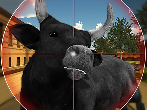 Bull Shooting thumbnail