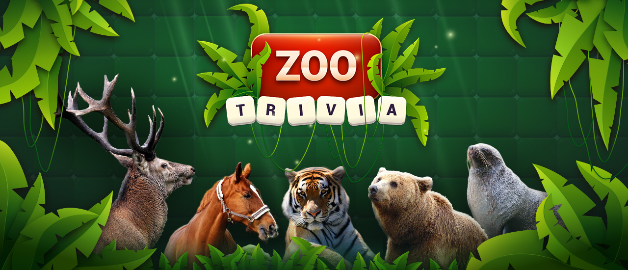 Zoo Trivia image