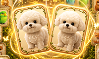 Animal Pair Card Match