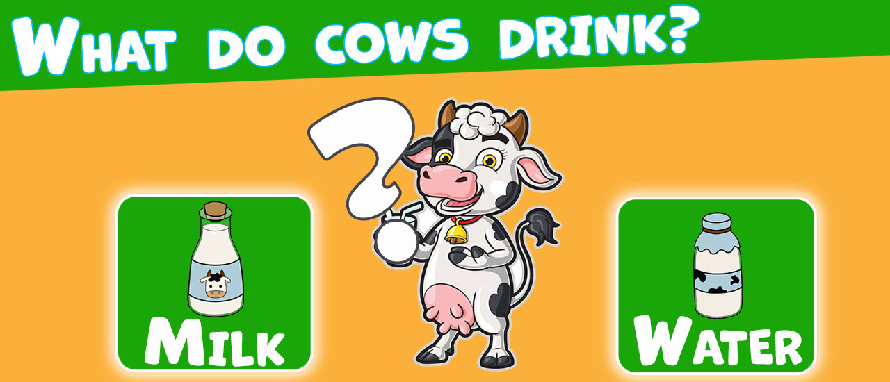 Trivia! Best family quiz thumbnail