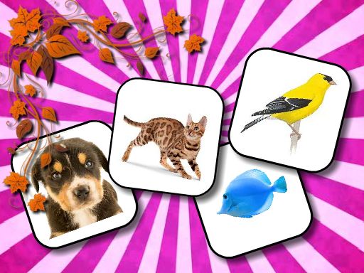 Animals Memory thumbnail