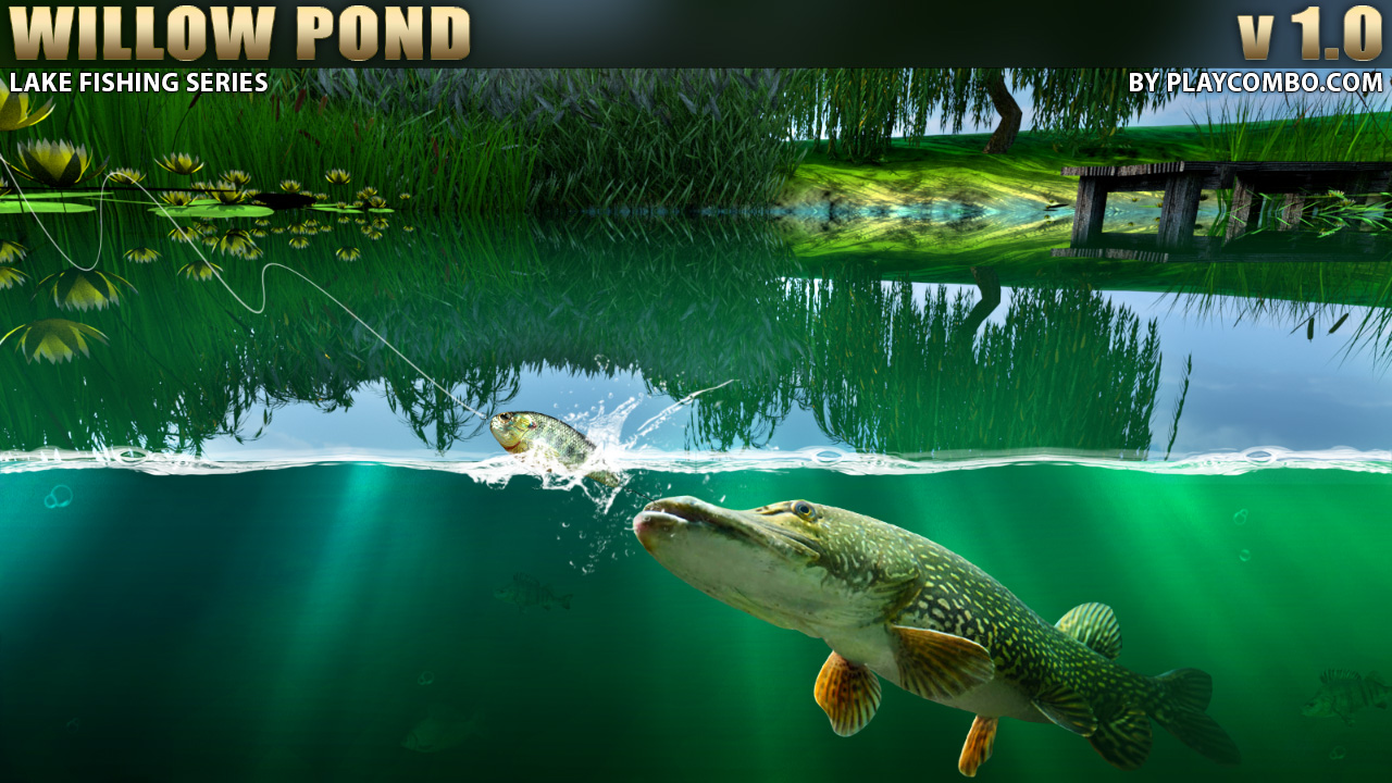 Willow Pond Fishing thumbnail