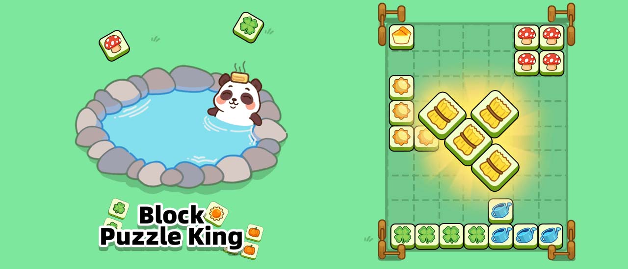 Block Puzzle King screenshot