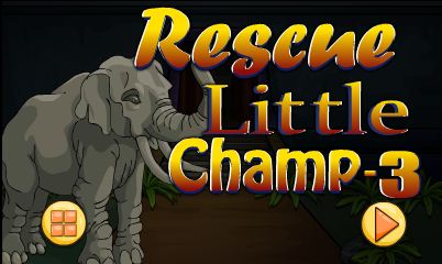 Rescue Little Champ 3