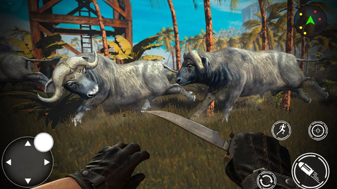 Animal Safari Hunter 2020 thumbnail