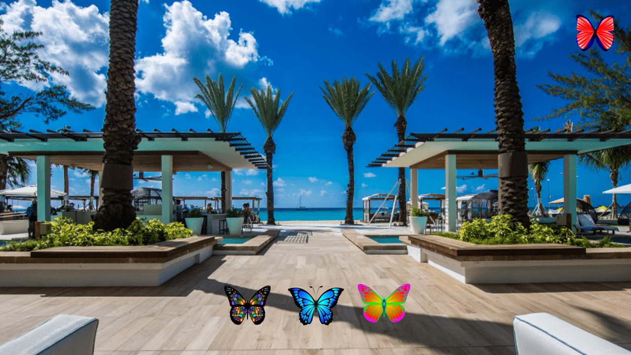 Find 100 Butterflies thumbnail