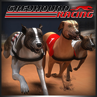 Greyhound Racing thumbnail