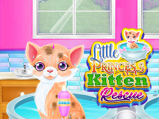 Little Princess Kitten Rescue thumbnail