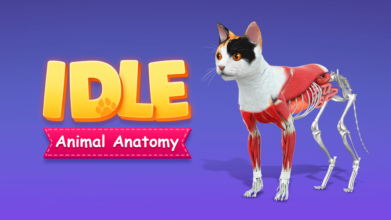 IDLE Animal Anatomy thumbnail