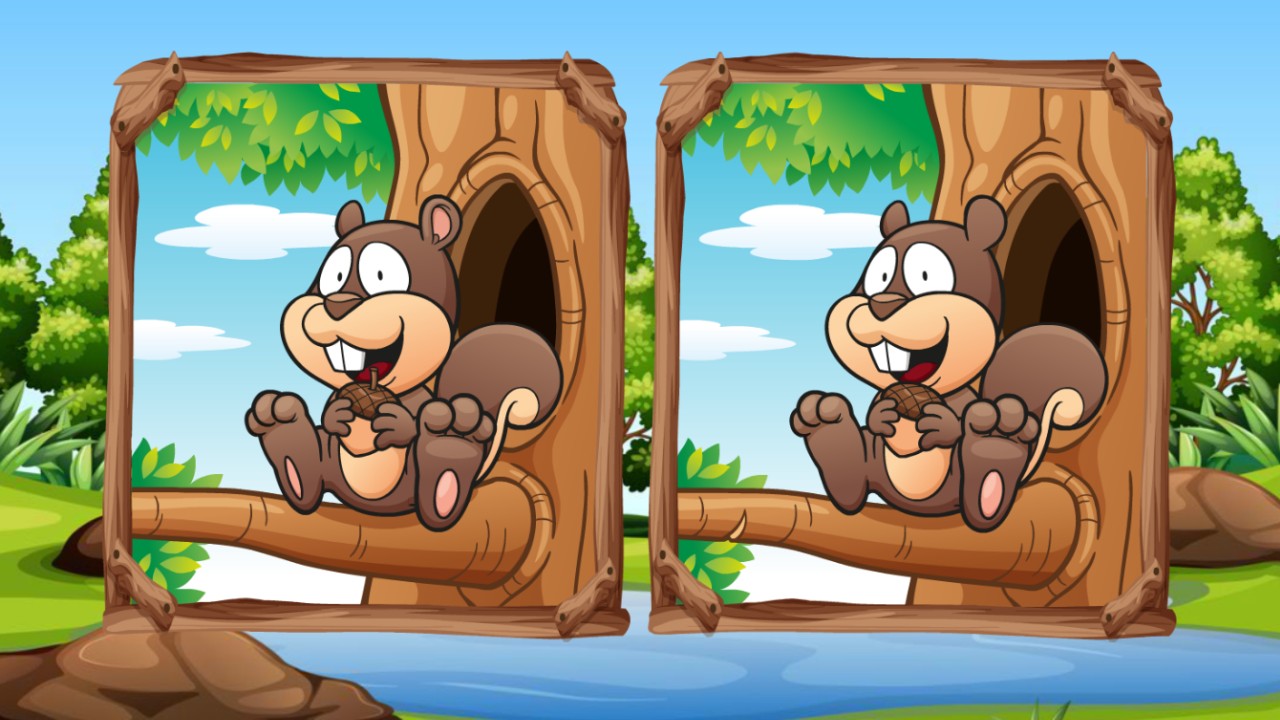 Jungle 5 Diffs thumbnail