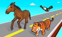 Animal Transform Race thumbnail