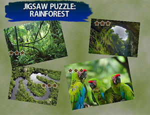 Jigsaw Puzzle Rain Forest thumbnail