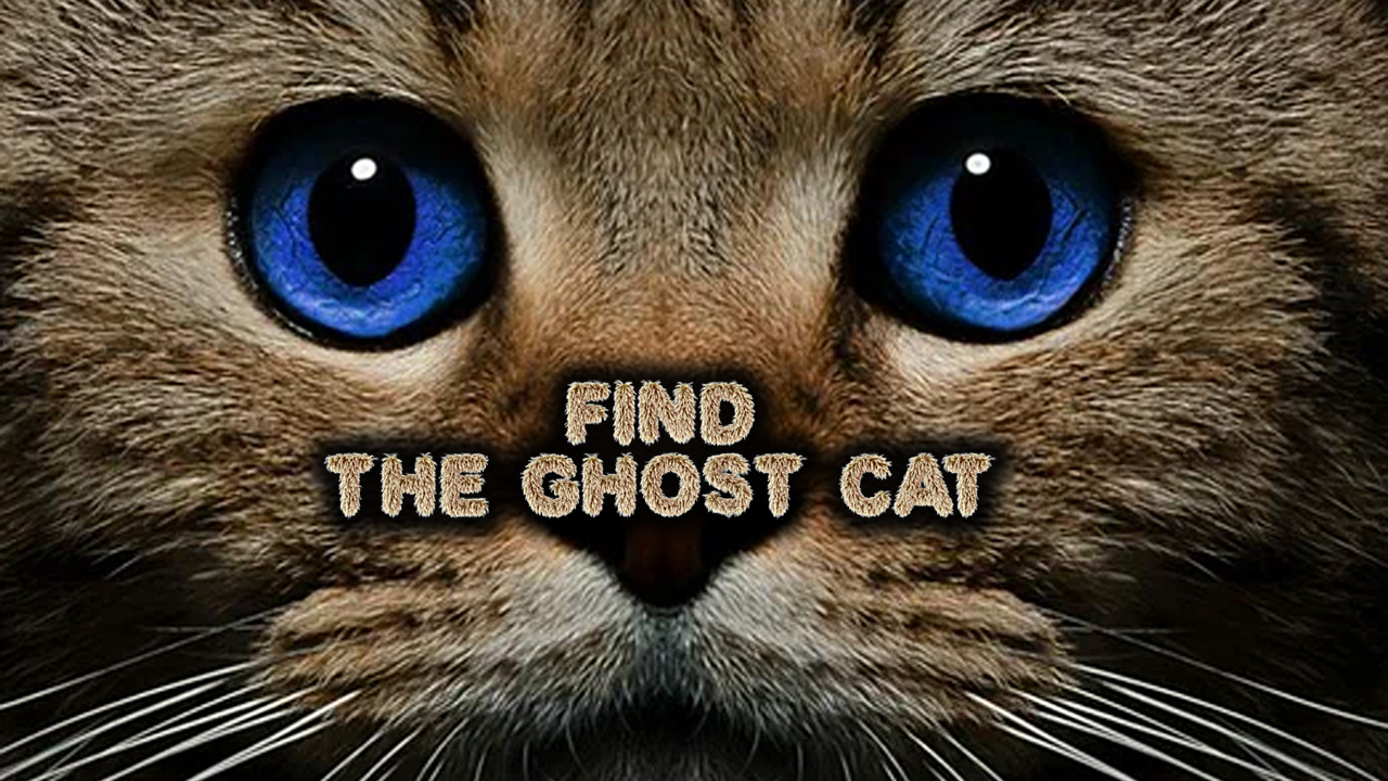 Find the Ghost Cat thumbnail