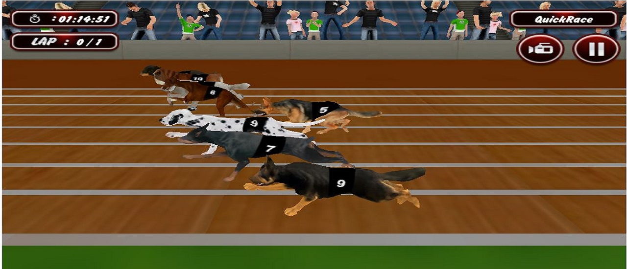 Real Dog Racing Simulator Game 2020 thumbnail