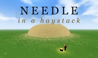 Needle in a Haystack