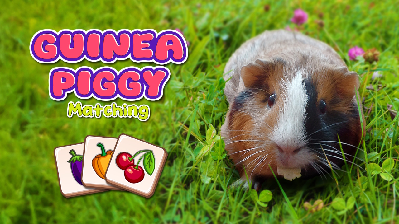 Guinea Piggy Matching
