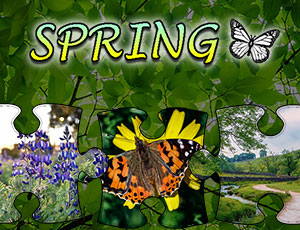 Jigsaw Puzzle Spring thumbnail