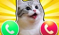 Komaru cat thumbnail