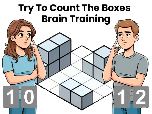 Try To Count The Boxes Brain Training online game