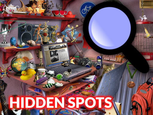 Hidden Spots in the Room thumbnail