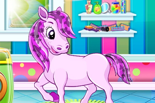 Pony Pet Salon