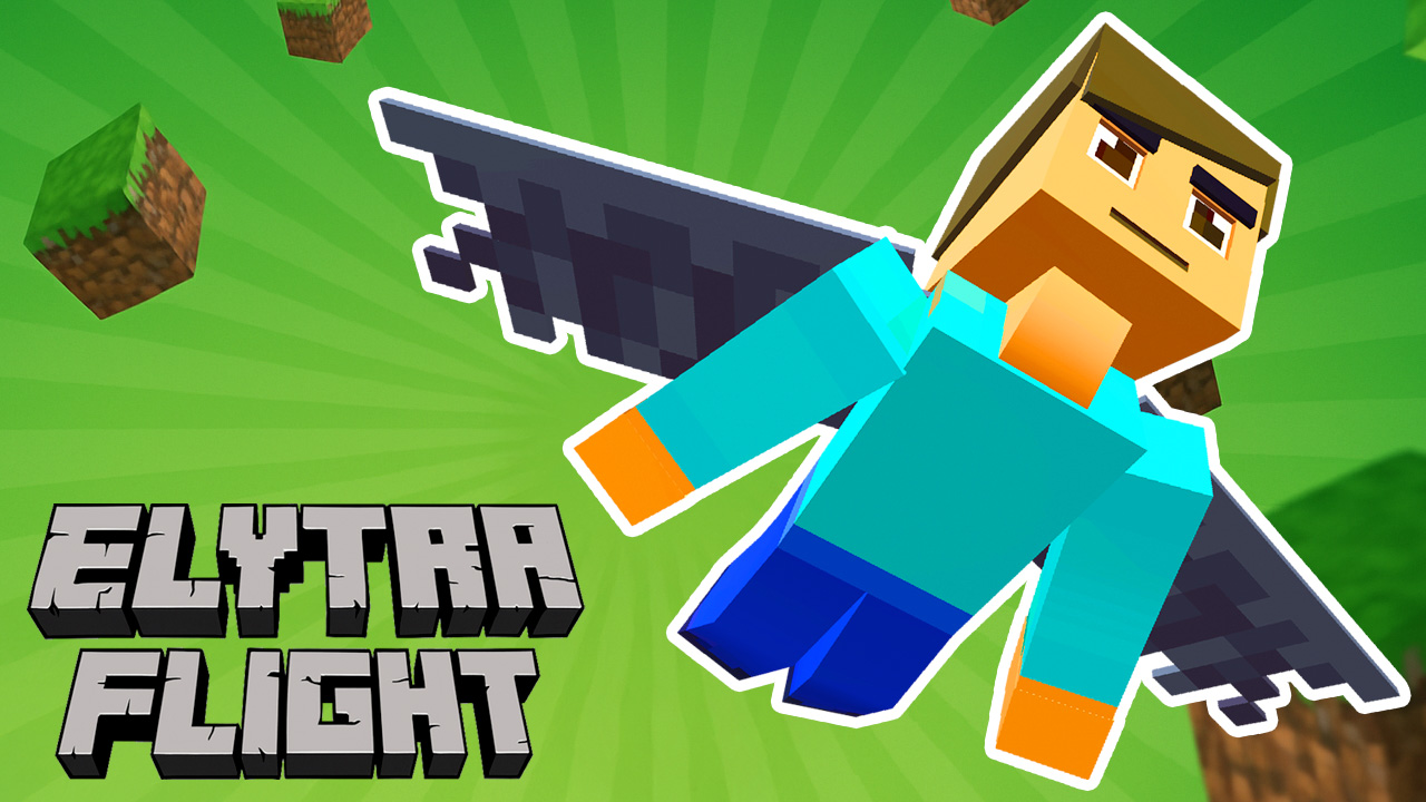 Elytra Flight
