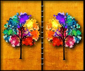 Forest Spot the Difference thumbnail