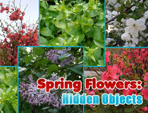 Spring Flowers Hidden Objects thumbnail
