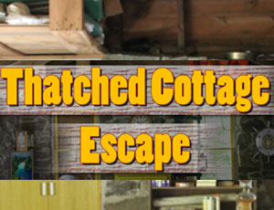 Thatched Cottage Escape thumbnail
