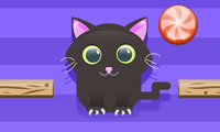 Cat Challenge thumbnail
