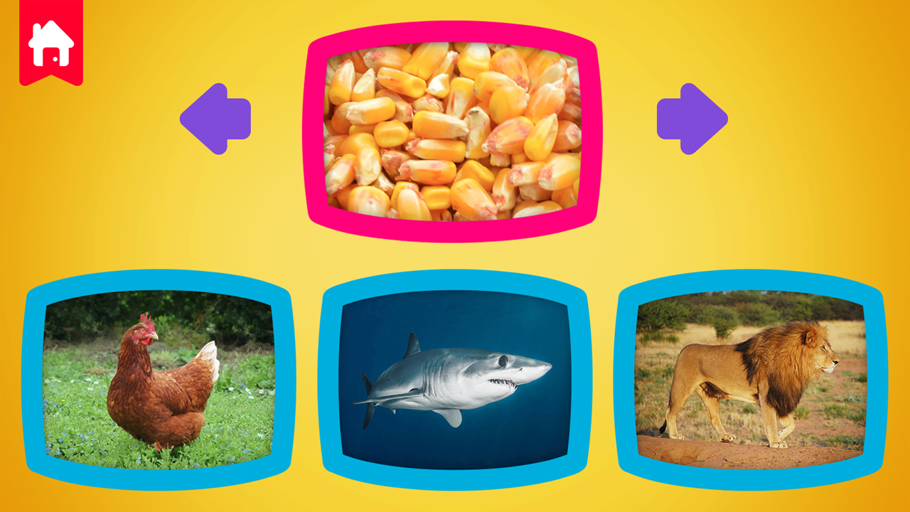 What do animals eat thumbnail