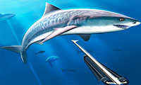 Hunting underwater spearfishing screenshot