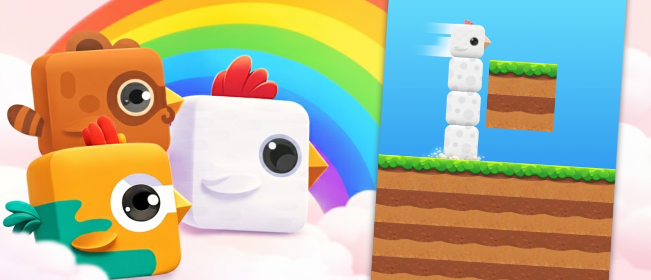 Image ChickZ Stack