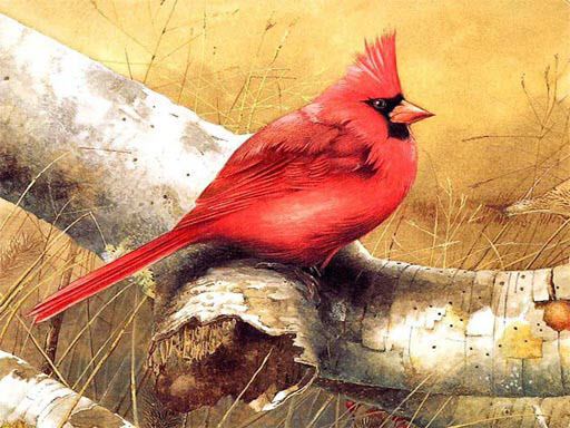 Art Birds Puzzle thumbnail
