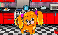 Doggi thumbnail