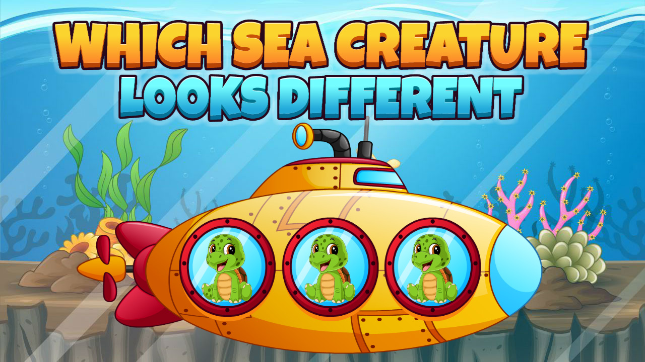 Which Sea Creature Looks Different thumbnail