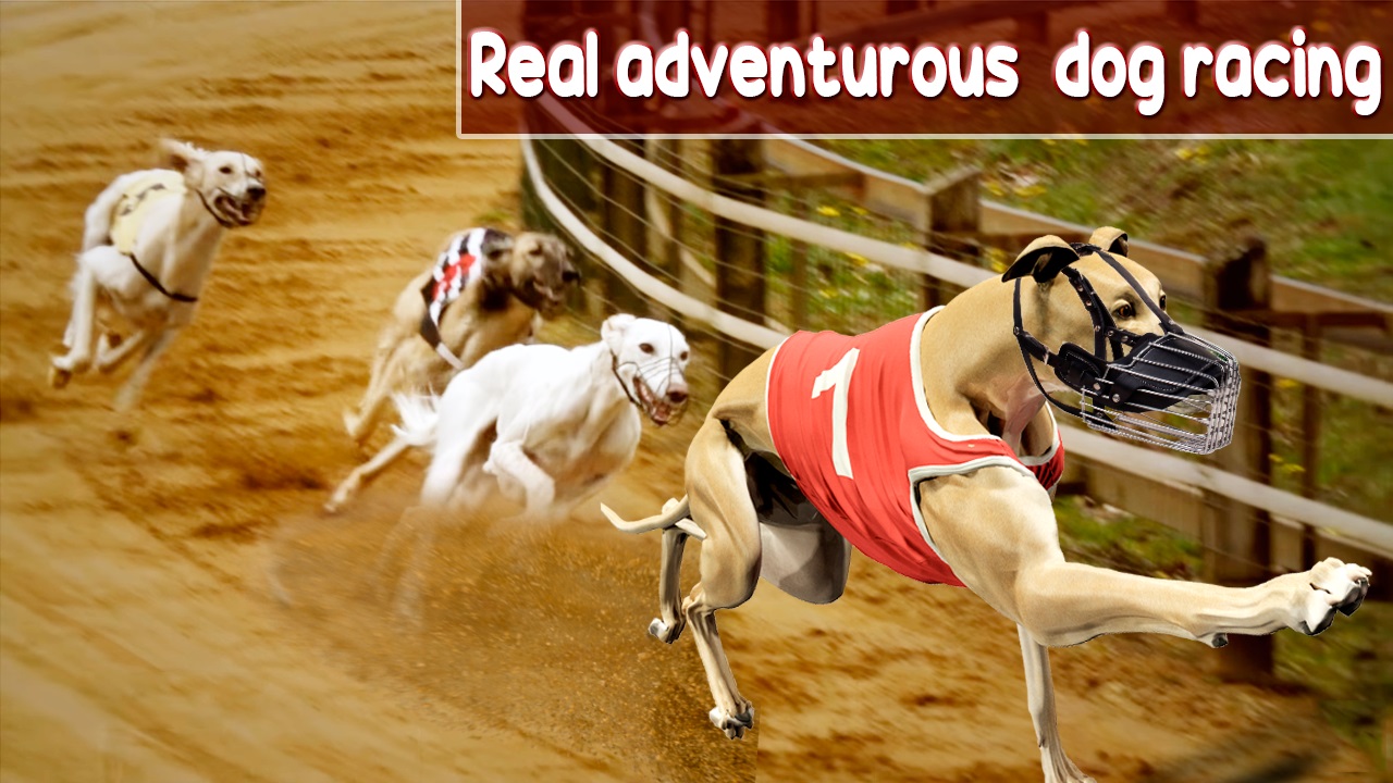 Crazy Dog Racing Game 2020 thumbnail