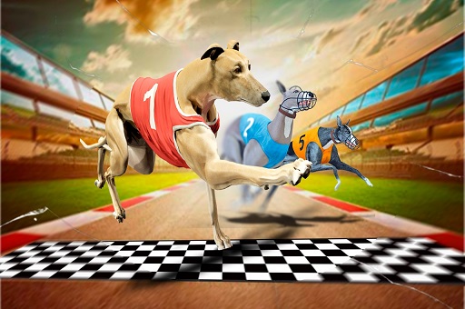 Crazy Dog Racing Game 2020 screenshot