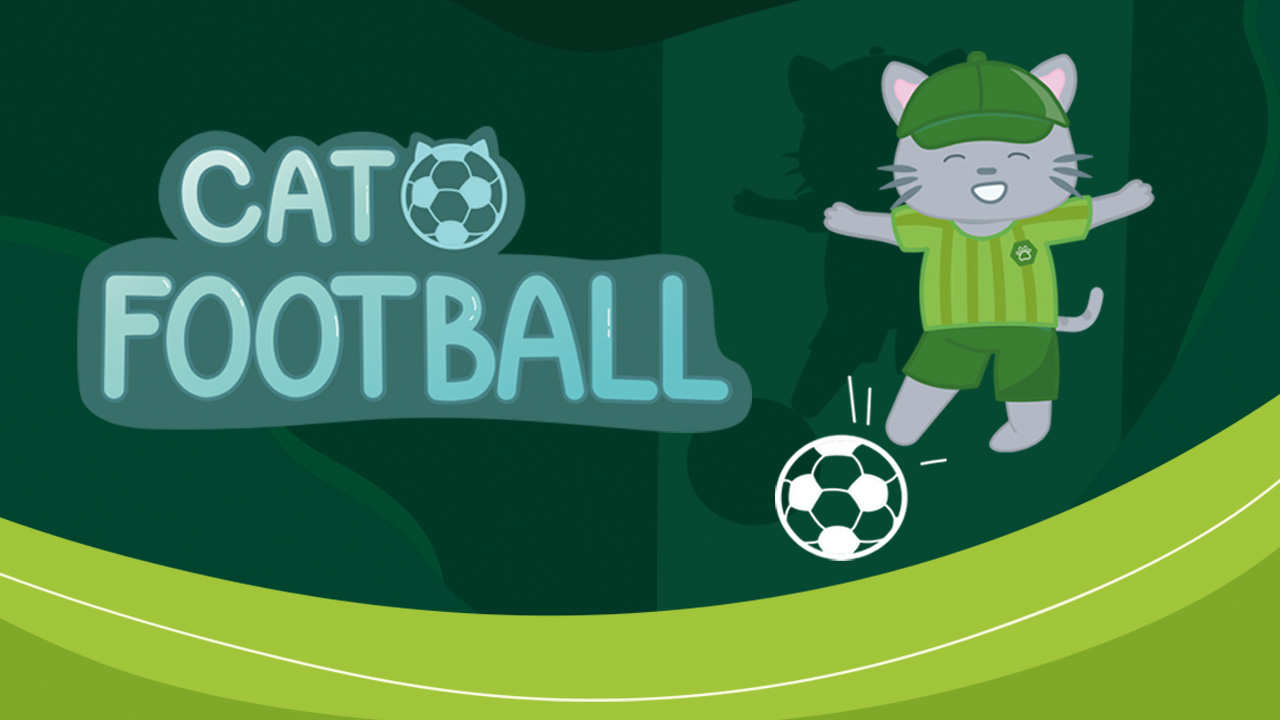 Cat Football thumbnail