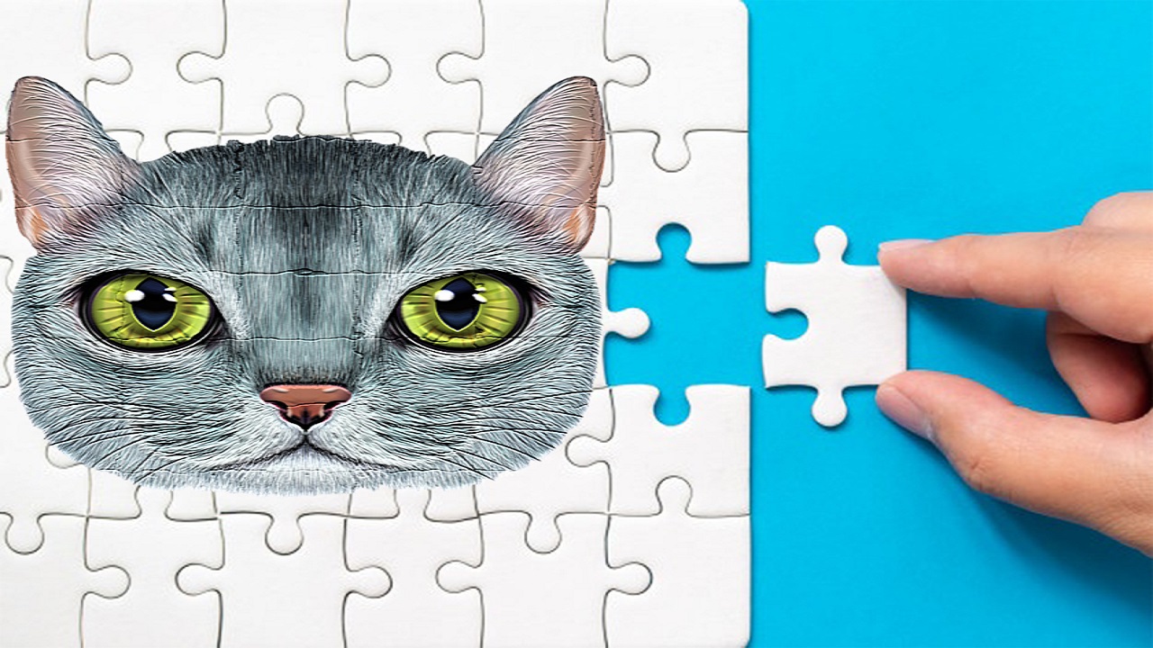 Abyssinian Puzzle Challenge thumbnail