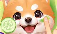 ASMR Pet Treatment