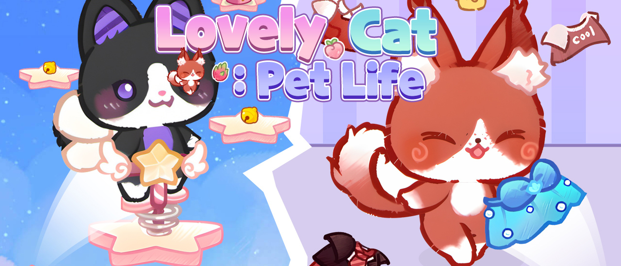 Lovely Cat Pet Life