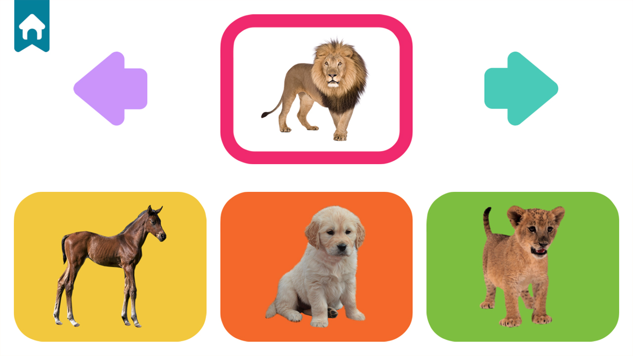Baby Animal thumbnail
