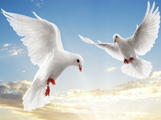 Flying Birds Slide thumbnail