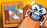 Pin master: Screw puzzle quest & brain games screenshot
